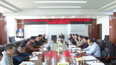 图片1_副本